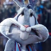 rating.algla@gmail.com