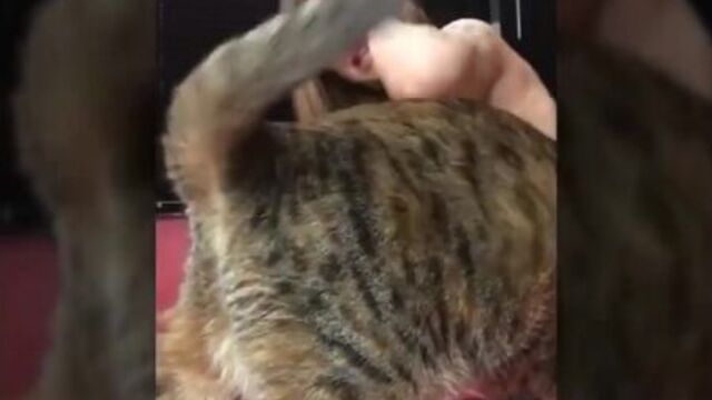 порно нарезки кончают | смотреть порно видео без регистрации