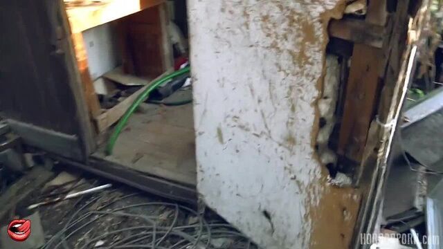 Порно ужасы на ночь Зверь из леса