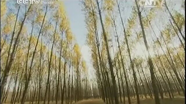 ТЕАТР ТЕНЕЙ - КИТАЙСКОЕ НАРОДНОЕ ИСКУССТВО (фильм 05, с переводом на русский язык).