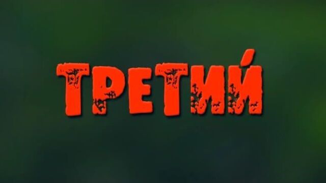 ТРЕТИЙ (2011)