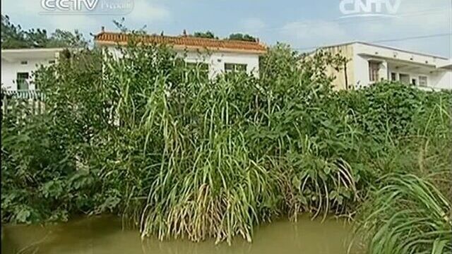 ТЕАТР ТЕНЕЙ - КИТАЙСКОЕ НАРОДНОЕ ИСКУССТВО (фильм 03, с переводом на русский язык).