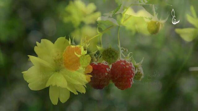 Красивое чтение Коран/Қуръон Сура Аль-Қахф | Пещера |, 18:32-й по 45-й аяты