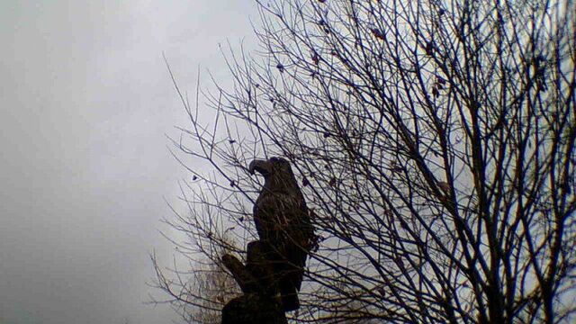 Video by Ilya Astafyev