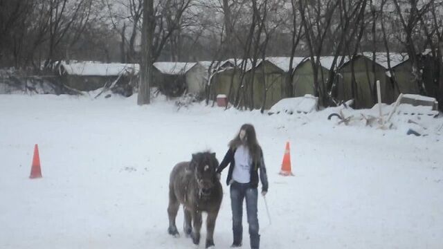 Катя и Макс)