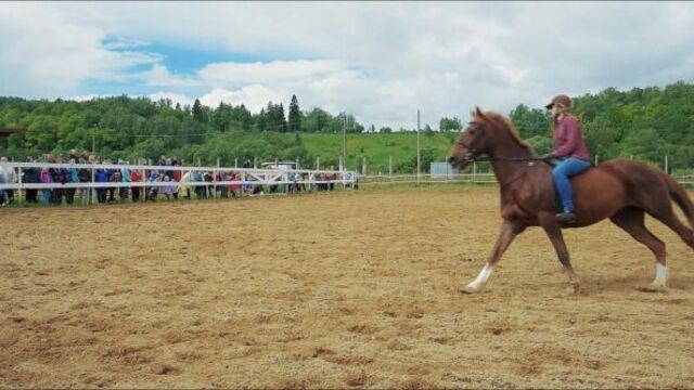 КСК "Вертикаль". Волшебный мир лошади.