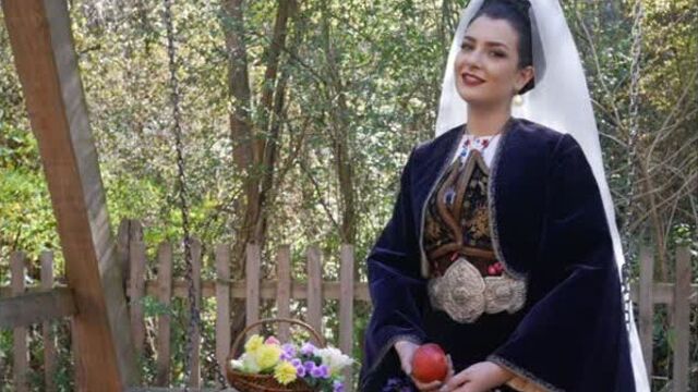 Сербская песня - "Сама" - Даница Крстич - Перевод с сербского на русский язык.