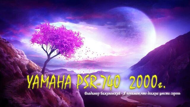 Владимир Бажиновский - Я понимаю,что должна цвести сирень (минусовка) Yamaha PSR-740 аранжировка Сергей Артамонов