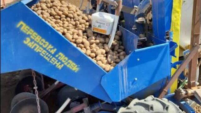 Применение фульвовых кислот на картофеле