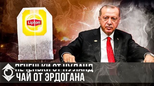 ОПРОС ТУРКОВ | ЭРДОГАН, ТУРЦИЯ, ПОЖАРЫ, ЧАЙ, ВЕЛИКИЙ ТУРАН