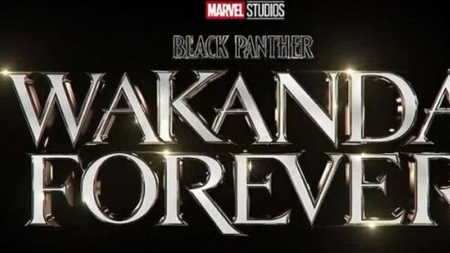 Черная Пантера: Ваканда навеки