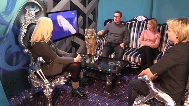 Битва Экстрасенсов 18 сезон 7 серия с продюсером, телезрителем, экстрасенсом и ресторатором