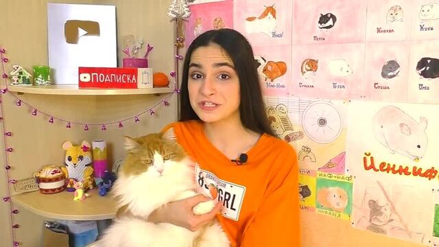 [Alisa Easy Pets] САМЫЙ ХОМЯЧИНЫЙ КАНАЛ НА YouTube / Хомяк Морская свинка Крыса Кот / ПРЕВЬЮ КАНАЛА / Alisa Easy Pets