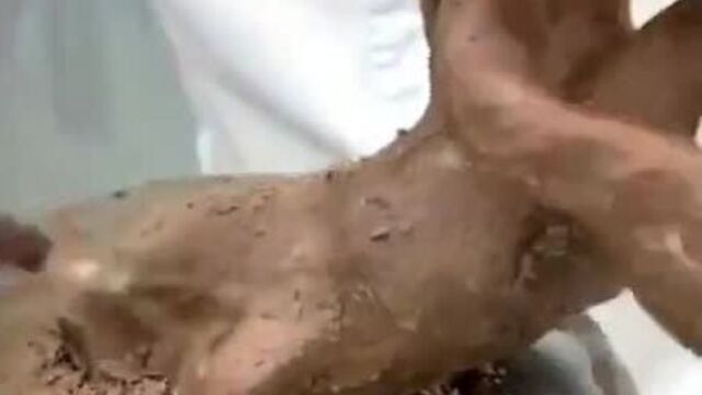 Съедобное денежное дерево c]tlj,yjt ltyt;yjt lthtdj