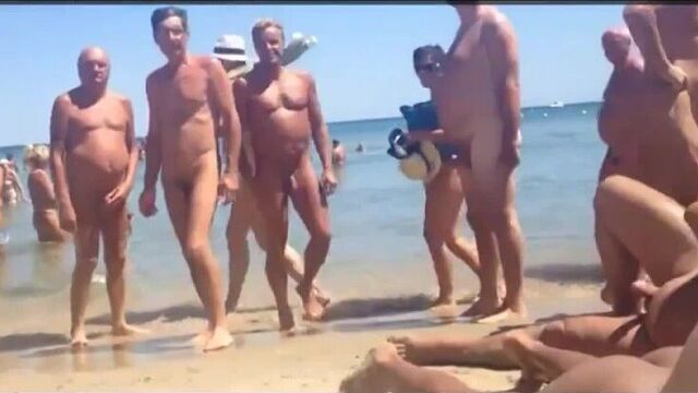 нудистский пляж увидели красивую стройную суку,животные джут своей очереди