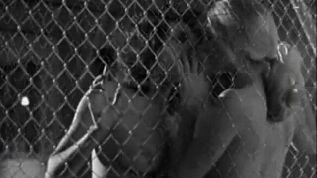 Секс сцены Анджелина Джоли