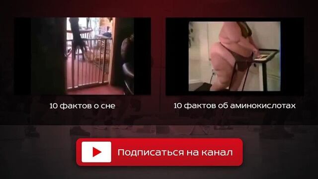 Секс aka Соитие aka Шпили-вили. 10 фактов.