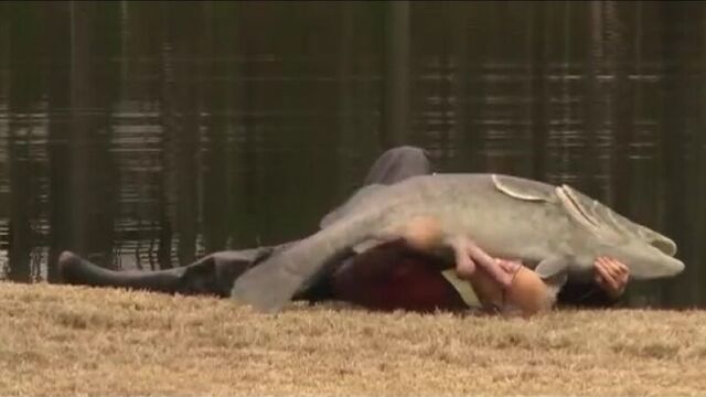 Рыба с членом