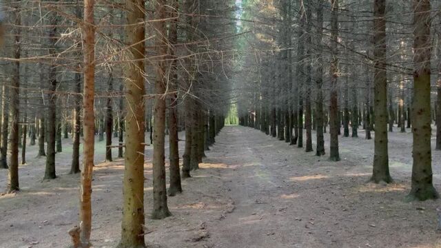 Как избавиться от порно зависимости