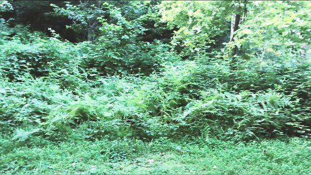 Настоящий секс в лесу. трахнул туриста в палатке