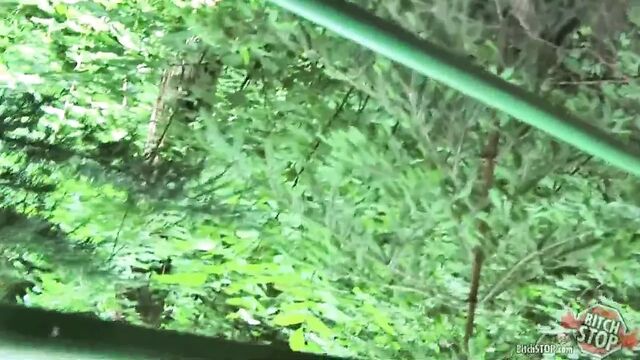 Bitch Stop - грудастую проститутку Michala трахнули на улице