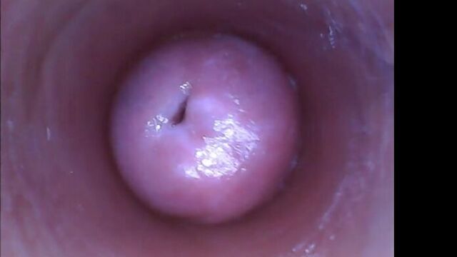 Женская пися вагина изнутри