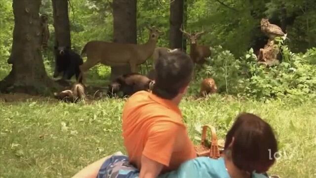 Секс на природе (Нинель Пофиг)