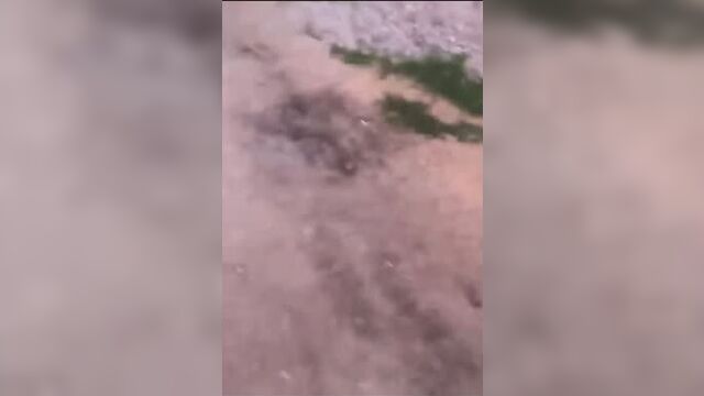 Video by ЧП 53 Великий Новгород. Новости