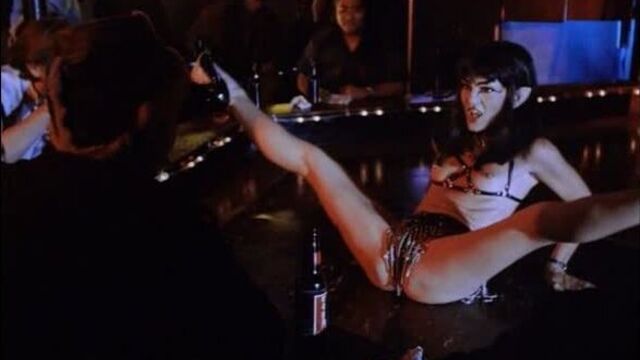 Бринк Стивенс - Киберзона / Brinke Stevens - Droid Gunner ( 1995 )