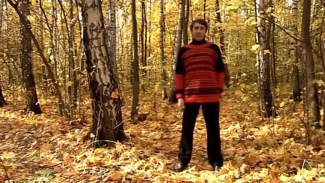 Дыхательная гимнастика Стрельниковой (без лишних слов и видео)