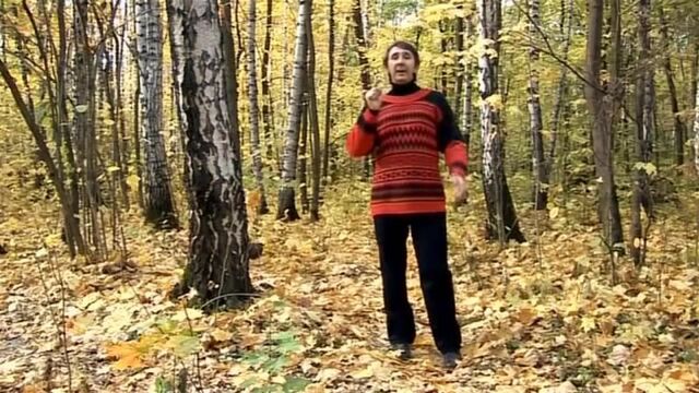 Дыхательная гимнастика Стрельниковой (без лишних слов)