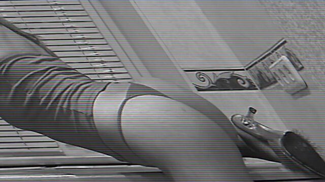 Быстрый и робкий домашний облизончик