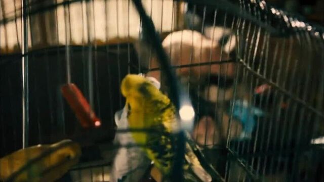 ух какая !! Сиськи и попка Натали Дормер в фильме "Гонка" .... восхитительно...(Сиськи,не порно,не секс.не э