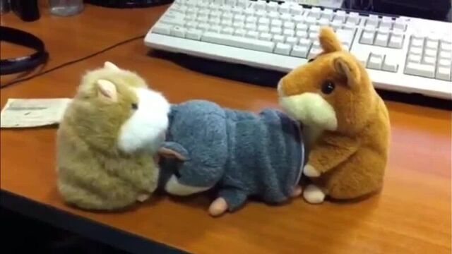 Порно. Говорящий хомяки секс! МЕГА ПРИКОЛ