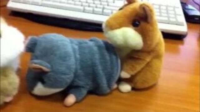 ахах, порно хомяков