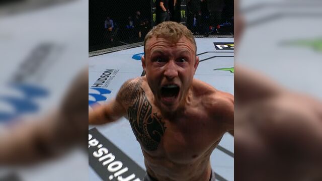 Лучшие финиши участников UFC Лондон: Блэйдс vs Аспинэлл