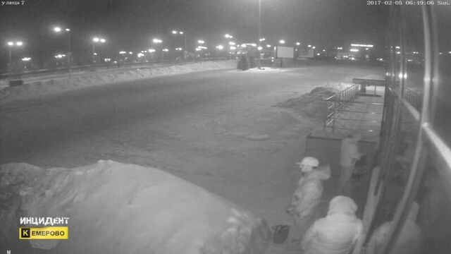 Секс животных на Искитимском мосту