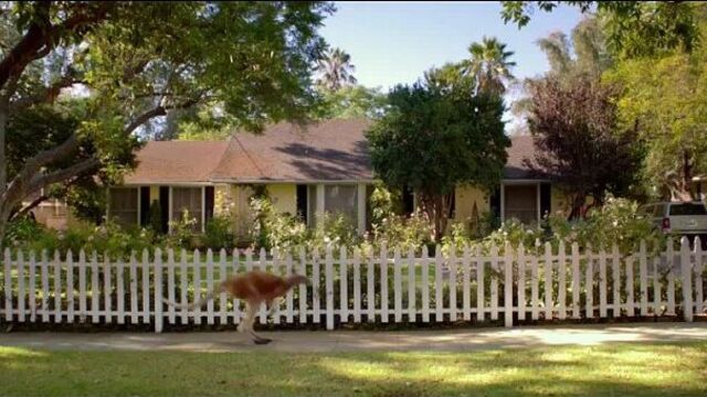 «Александр и ужасный, кошмарный, нехороший, очень плохой день / Alexander and the Terrible, Horrible, No Good, Very Bad Day» (20